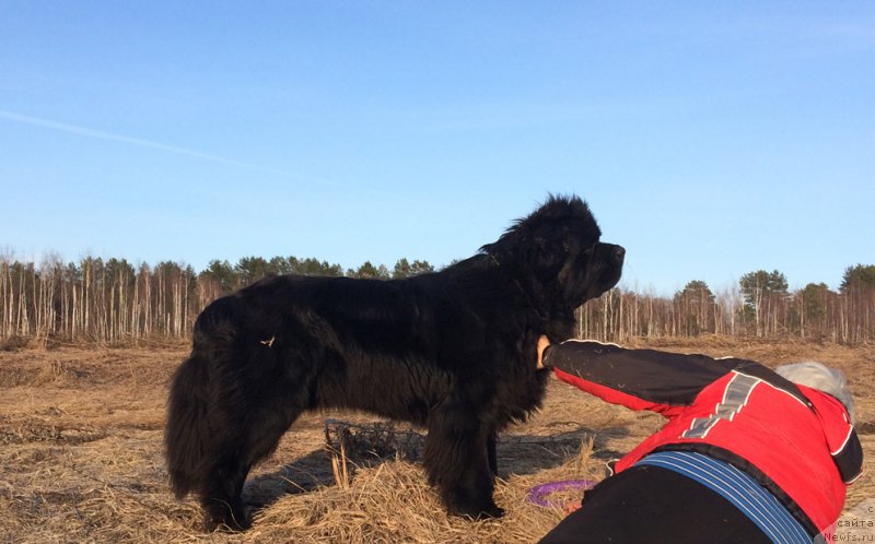 Фотография № 223061