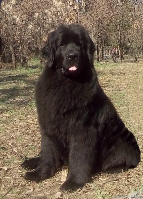 Фотография № 223094