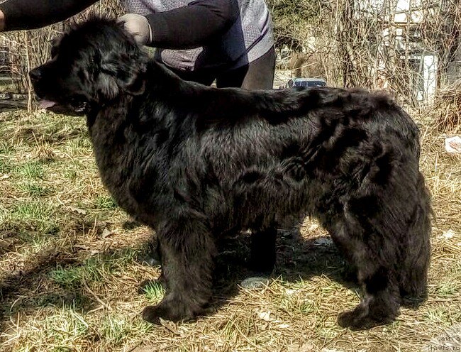 Фотография № 223095