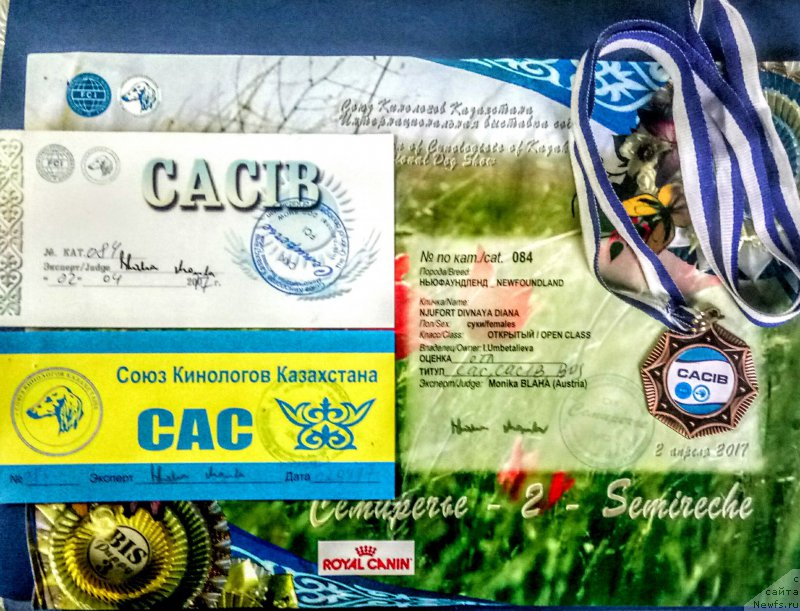 Фотография № 223096