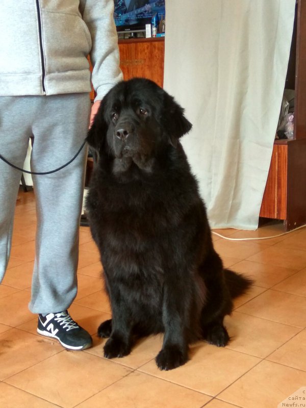 Фотография № 223105