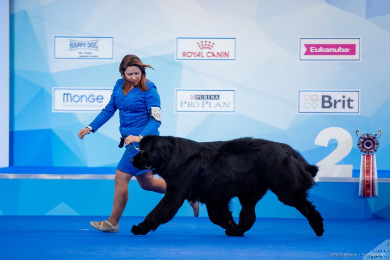 Фотография № 223109