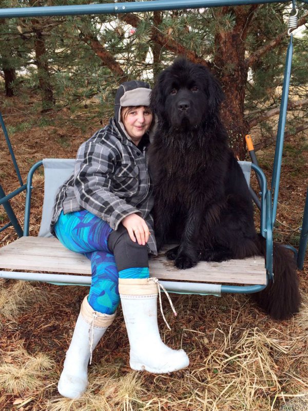 Фотография № 223111