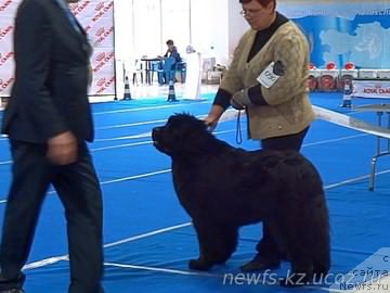 Фотография № 223132