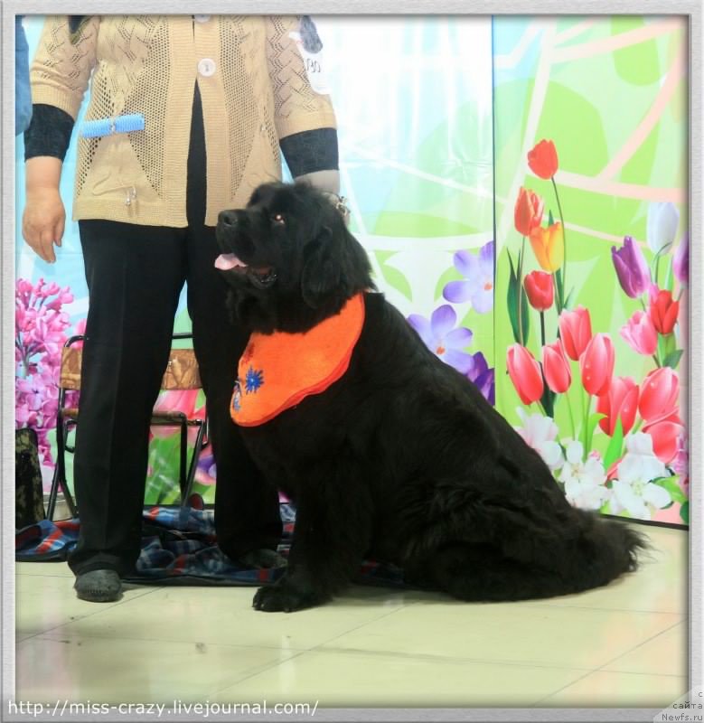 Фотография № 223134