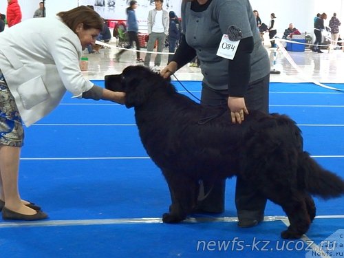 Фотография № 223135