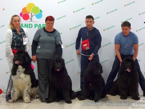 Фотография № 223136