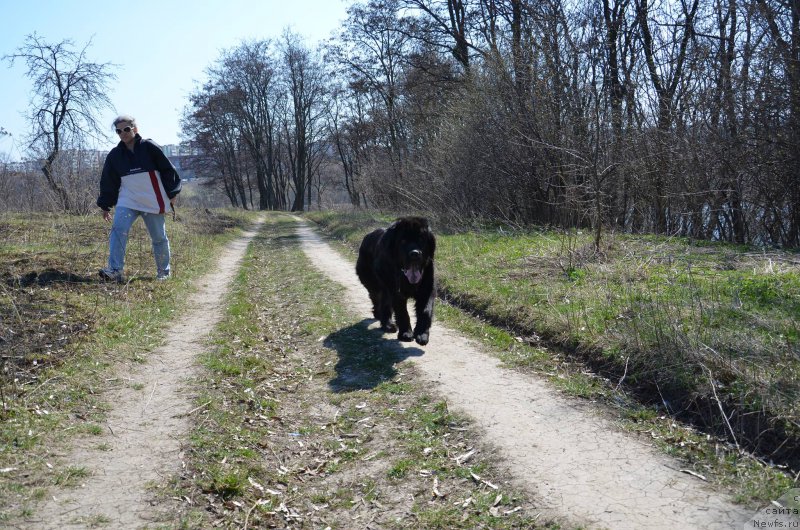 Фотография № 223143