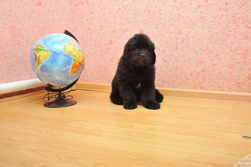 Фотография № 223166