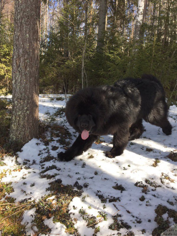 Фотография № 223186