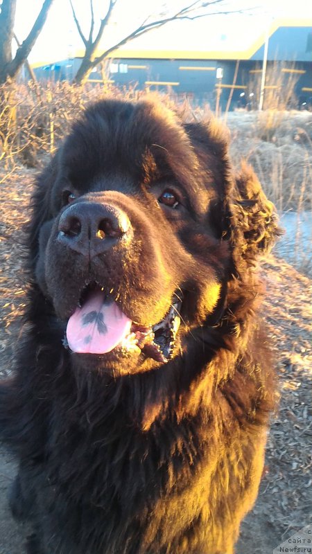 Фотография № 223207