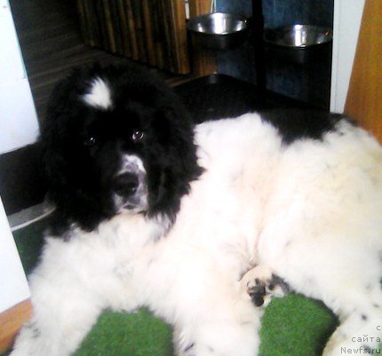 Фотография № 223256