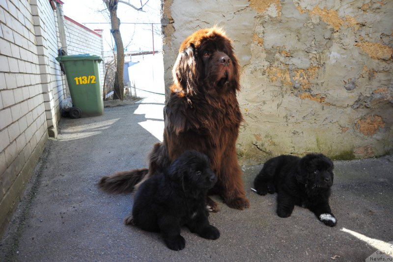 Фотография № 223282