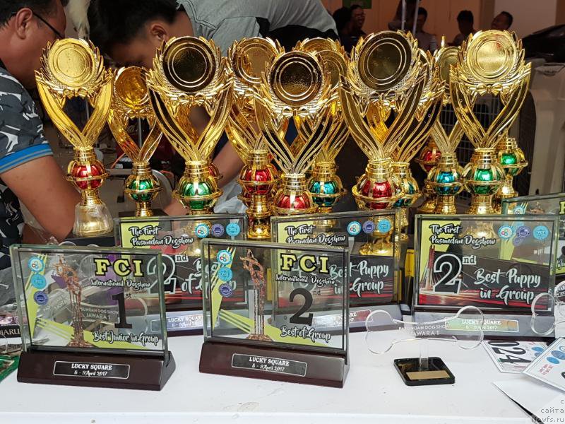 Фотография № 223325