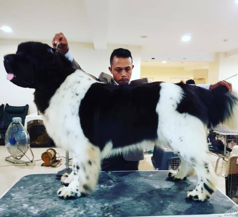 Фотография № 223326