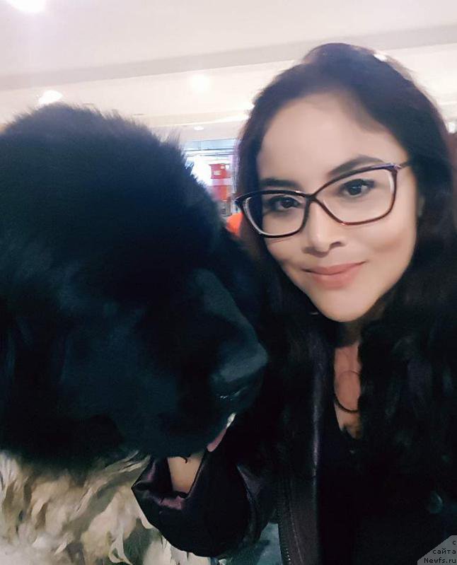 Фотография № 223327