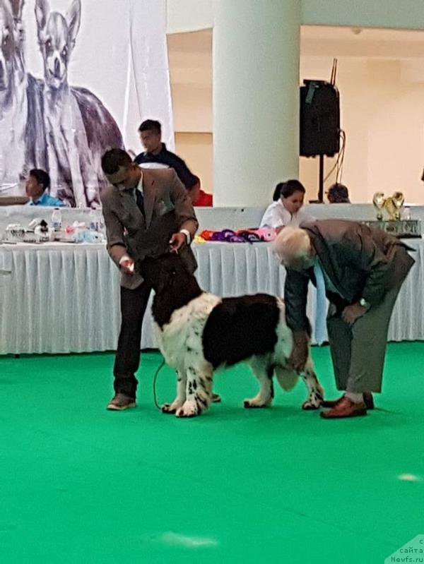 Фотография № 223328