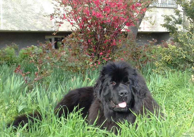 Фотография № 223330