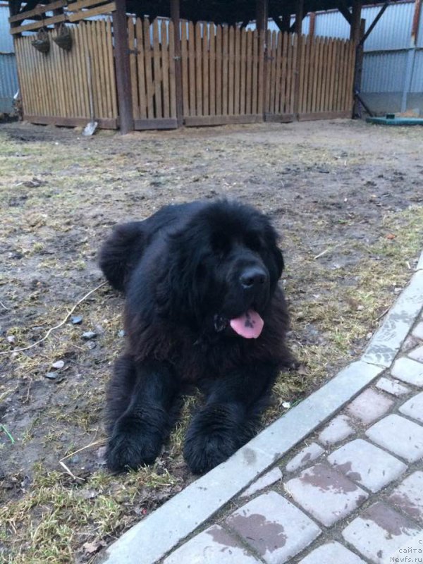 Фотография № 223338