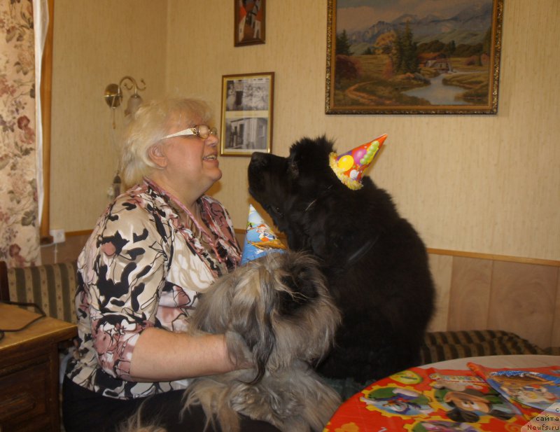 Фото: Galina Saryicheva (Галина Сарычева), ньюфаундленд Skippers Only You for Smigar