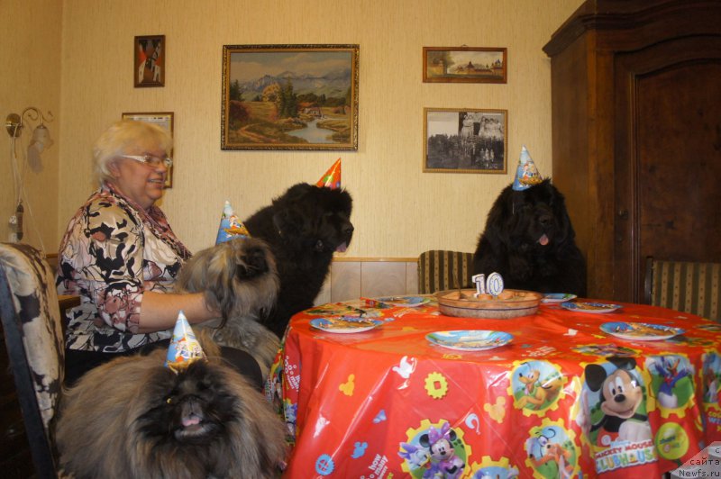 Фото: Galina Saryicheva (Галина Сарычева), ньюфаундленд Skippers Only You for Smigar, ньюфаундленд Love Inside Your Soul Moon Bear (Love Inside Your Soul Moon Bear), и наши пекинесы