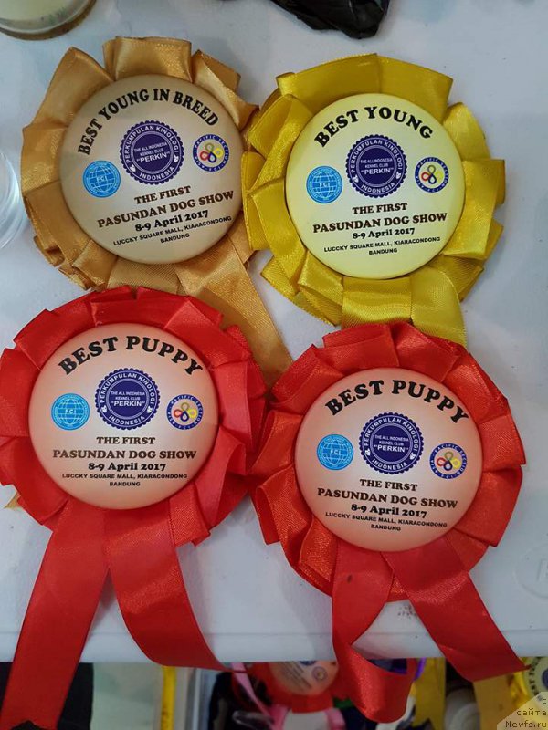 Фотография № 223359