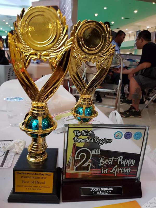 Фотография № 223360