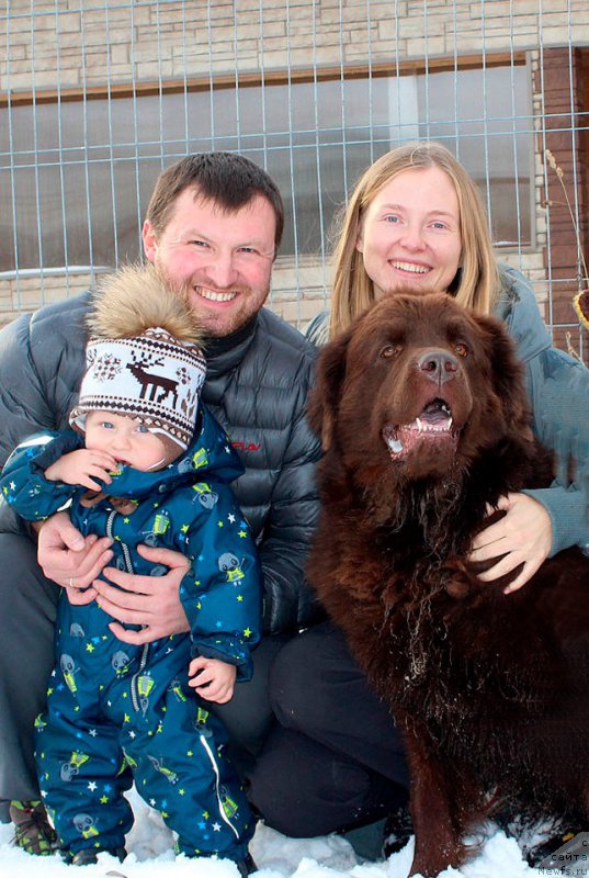 Фото: ньюфаундленд Chara Hani Les (Чара Хани Лес)