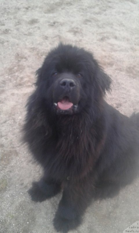 Фотография № 223364