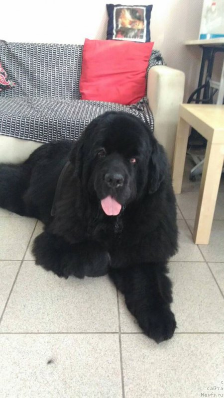 Фотография № 223389