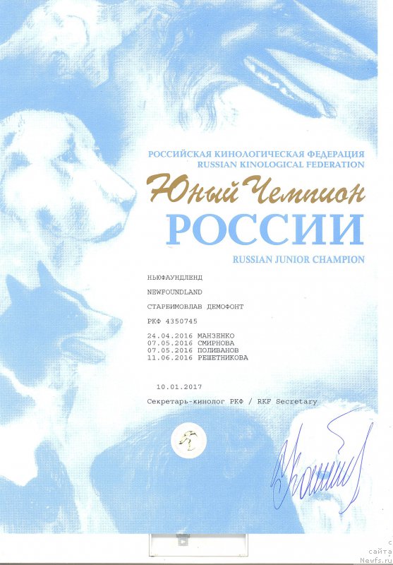 Фото: ньюфаундленд Starbimovlav Demofont (Старбимовлав Демофонт)
