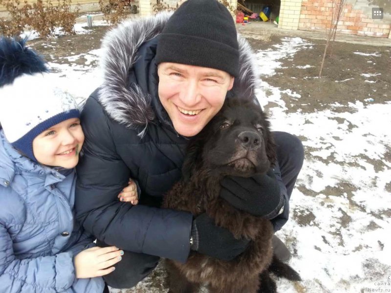 Фото: ньюфаундленд Chernaya Mafia Breaking The Law (Черная Мафия Бреакинг Тхе Лав)