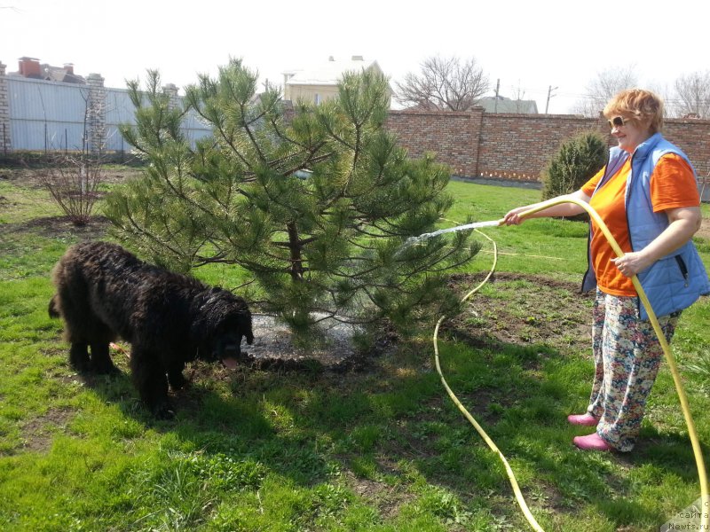 Фотография № 223441