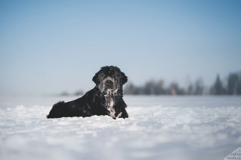 Фотография № 223446