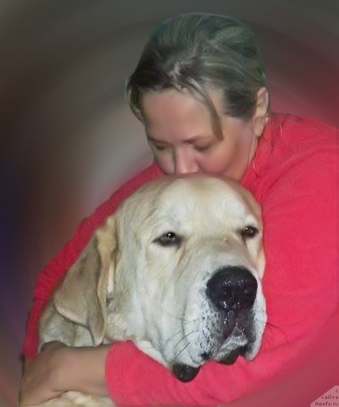 Фотография № 223487