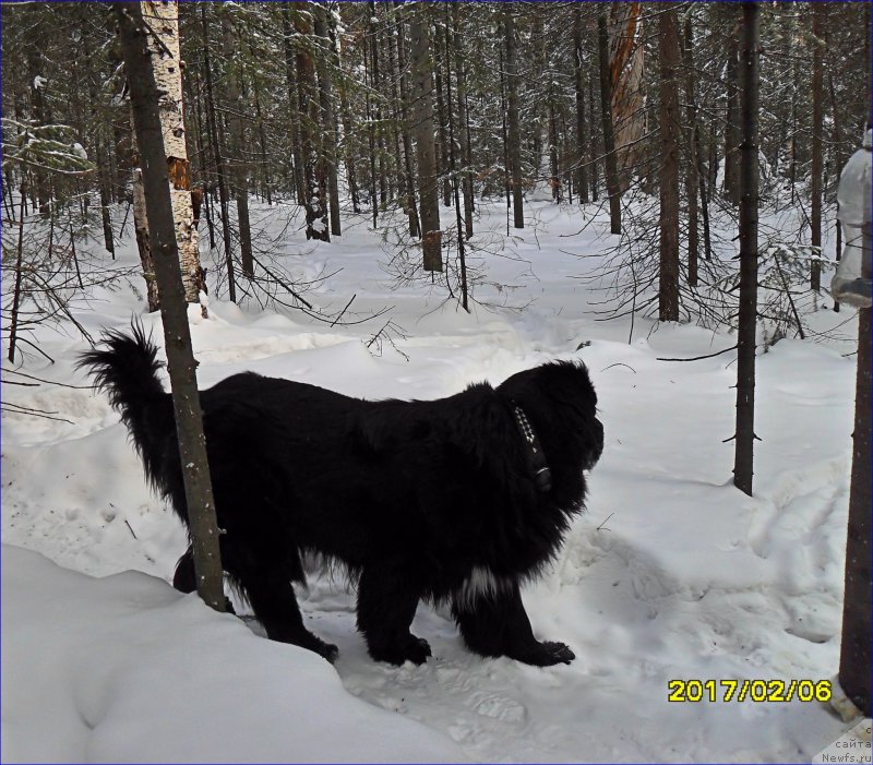 Фотография № 223494