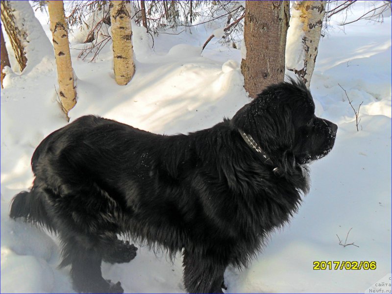 Фотография № 223496