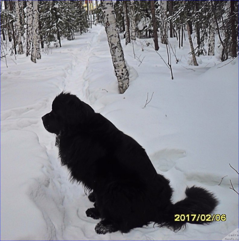 Фотография № 223498