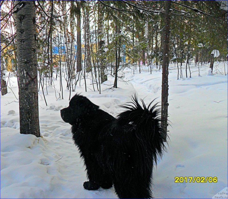 Фотография № 223499