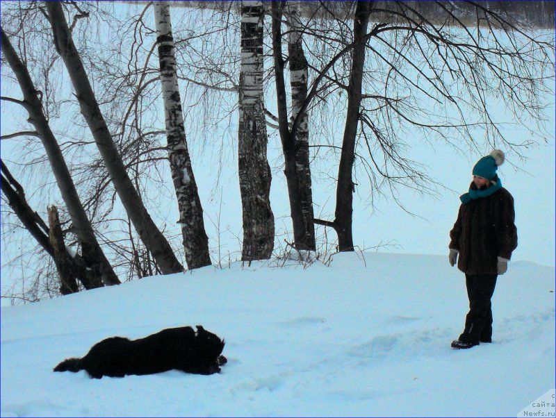 Фотография № 223501