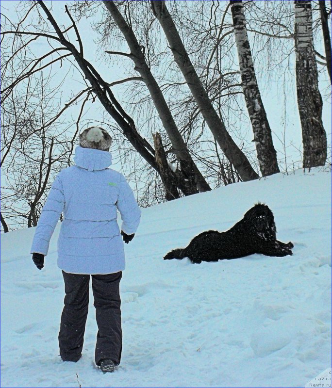 Фотография № 223502