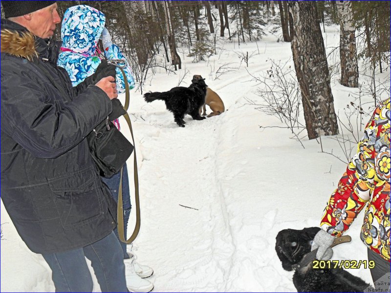 Фотография № 223503