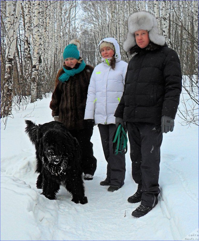 Фотография № 223504