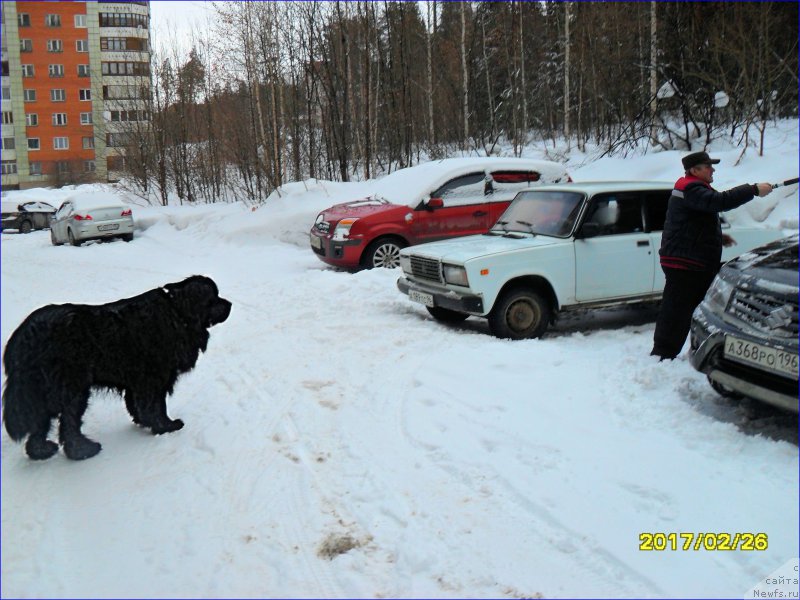 Фотография № 223508