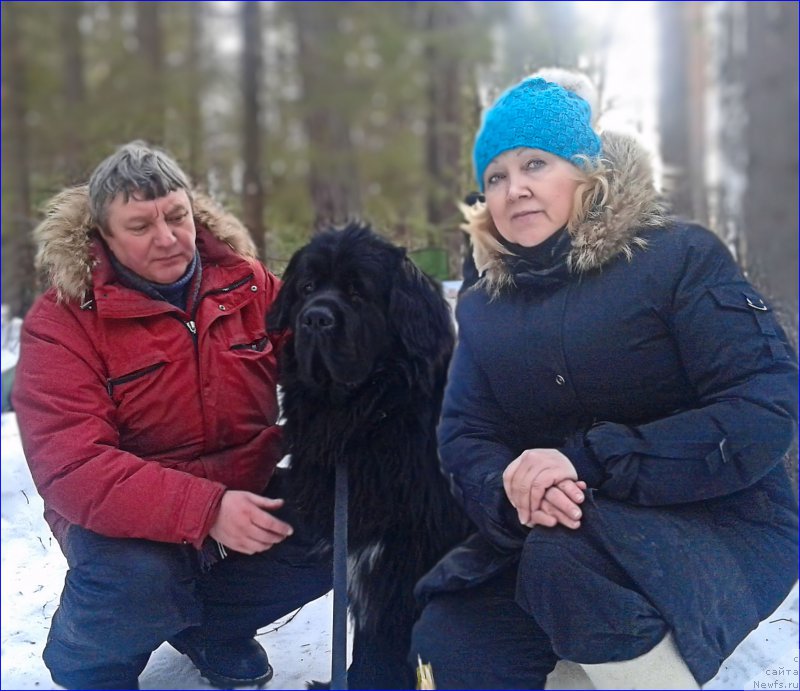 Фотография № 223509