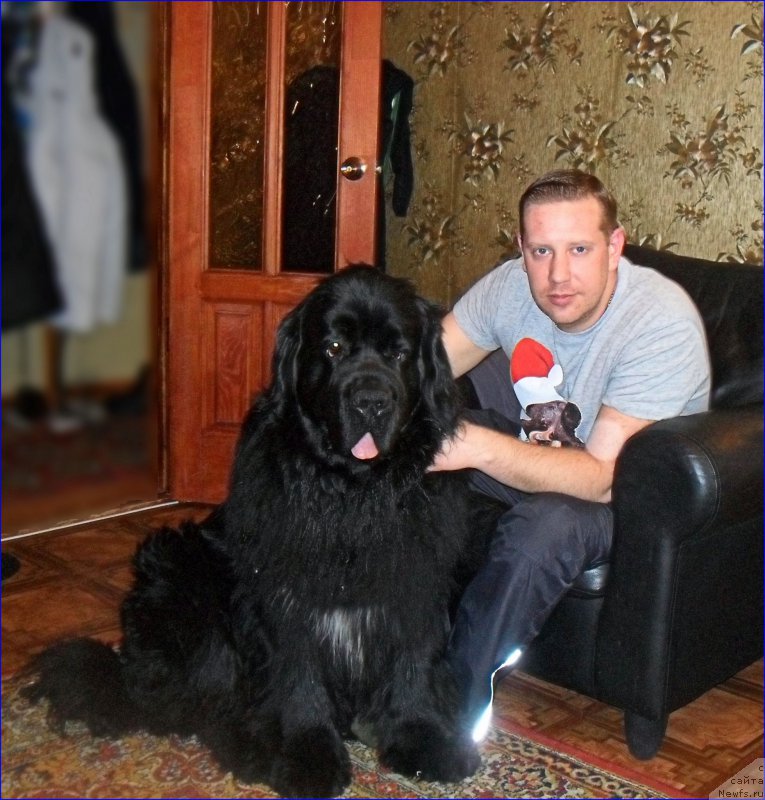 Фотография № 223512