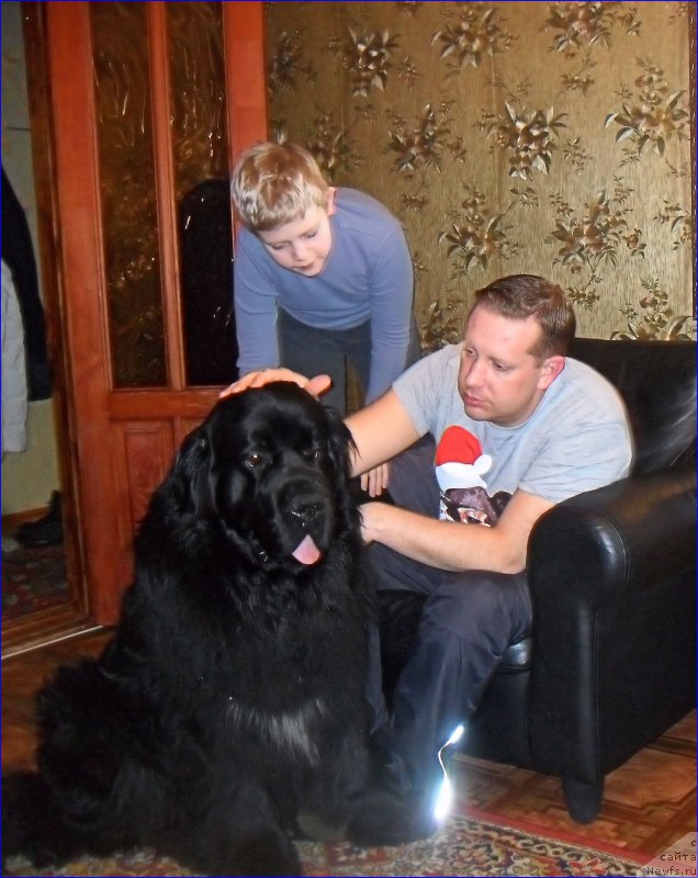 Фотография № 223514