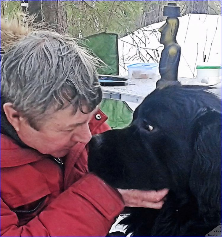 Фотография № 223516