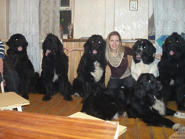 Фотография № 22352