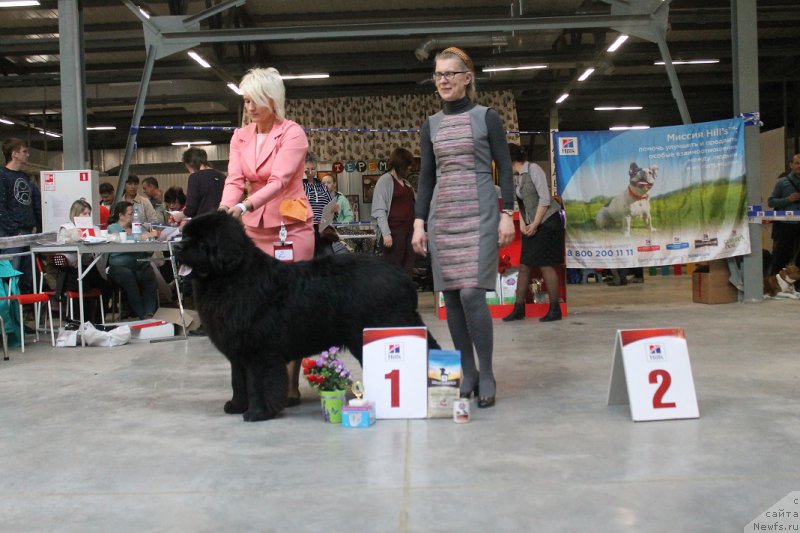 Фотография № 223526